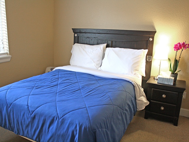 LOVING CARE ASSISTED LIVING SERVICES LLC